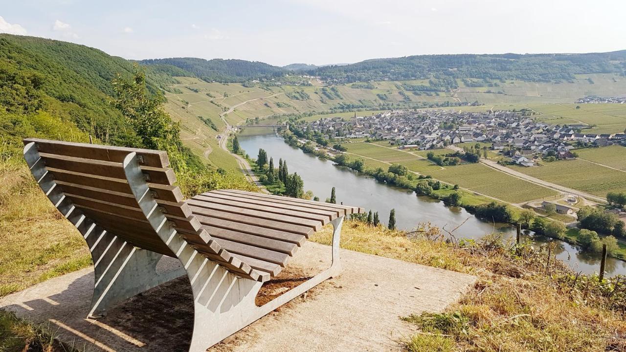 Ferienwohnung Wagner Neumagen-Dhron Exteriér fotografie